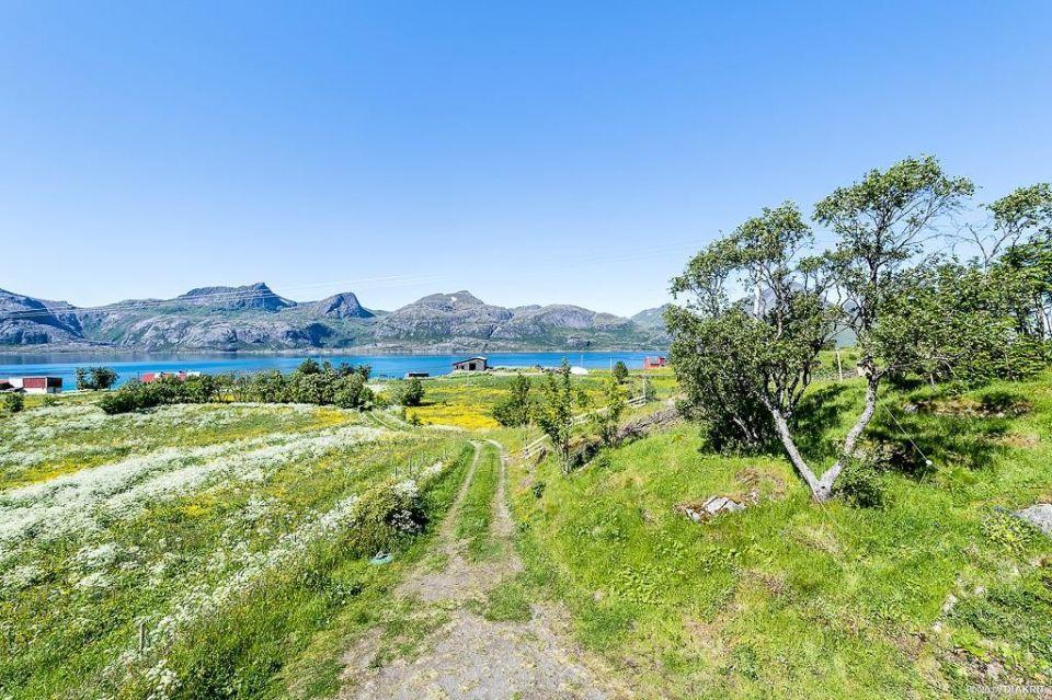 Villa Vevika Lofoten Gravdal  Exterior foto