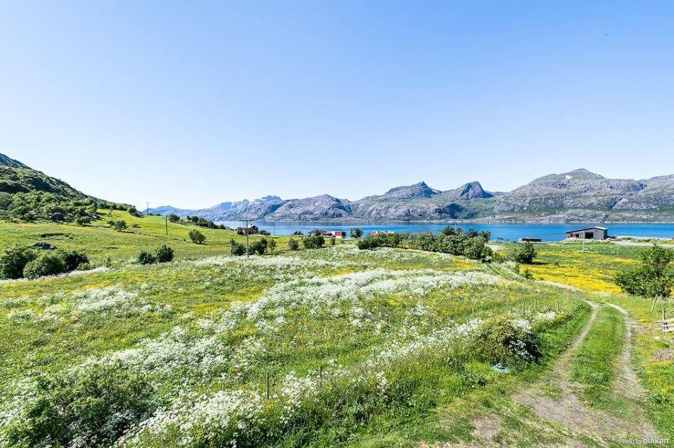 Villa Vevika Lofoten Gravdal  Exterior foto